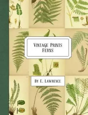 Vintage Prints: Ferns • $14.69