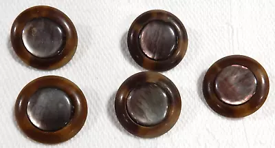 Vintage Mother Of Pearl / Abalone Shell In Vegetable Ivory Buttons Set Of 5 • $3.99