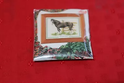 Lanarte Life Style Collection - Cross Stitch Kit - Horse - No.15544A - NEW • £15