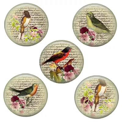 SET OF 5 Bird Magnets Vintage Art Prints Mylar Button Style 1.25  Each • $12.71