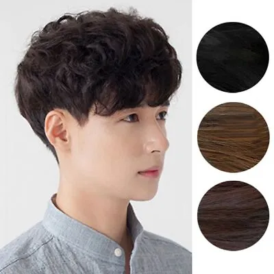 Brown Short Curly Wig Natural Men Synthetic Hair Male Wavy Wigs  Cosplay • £8.33