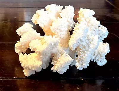 Natural White Coral • $10