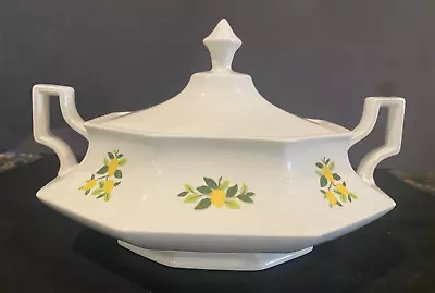 Johnson Bros. Ironware Lemon Tree Soup Tureen Vegetable Dish Vintage RARE • $59.99