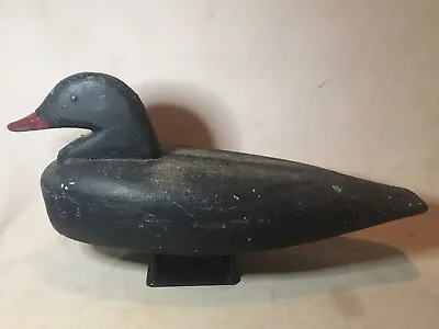 Scoter Duck Decoy Vintage Maine Hunting Antique  • $99