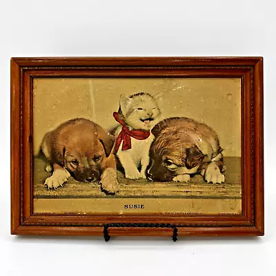 Vtg Morris Bendien SUSIE Cat Litho 3D Print Daily Mirror Puppies Kittens 1940s • $24.99