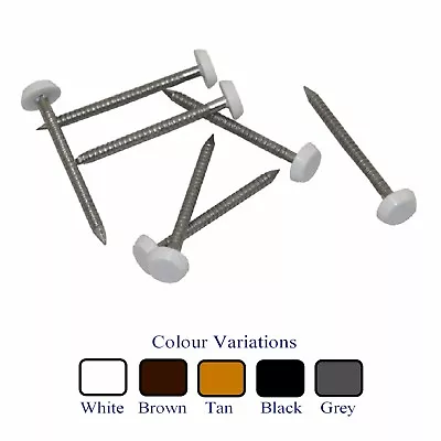 £31.99 • Buy Stainless Steel UPVC Poly Top Pins Nails Plastic Headed  Colour & Size Options 