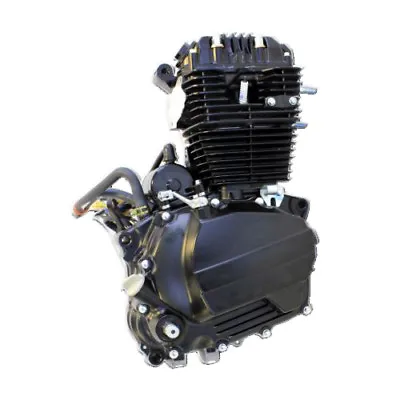 250cc Engine 5 Speed Manual Kick/Electric Start OHC Motor For Thumpstar Atomik • $899.10