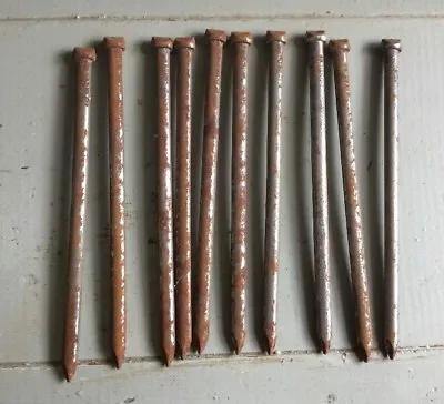 10x 6  VINTAGE RUSTY Oval Head NAILS • £4.49