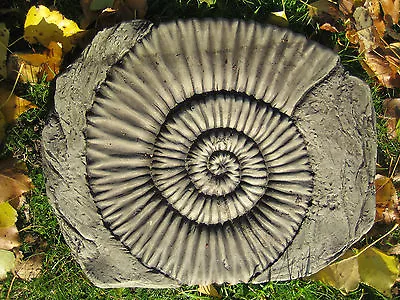 Ammonite (f) Stepping Stone Garden Ornament • £19.79