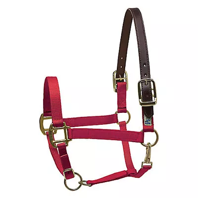 Perris Nylon Safety Halter • $58.69