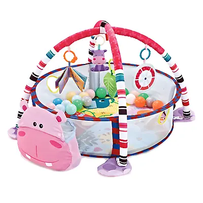 3 In 1 Foldable Hippo Baby Play Mat Gym With Storage With Baby Toys And Balls • £35.99