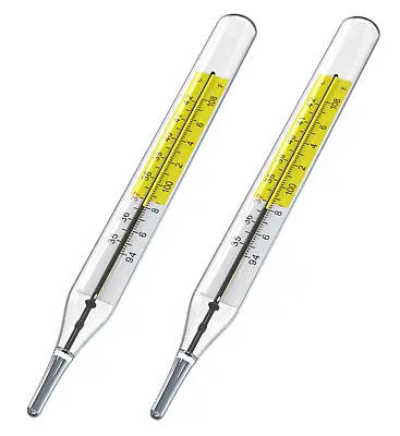 2Pcs Glass Thermometer Mercury Free Clinlic Thermometer Traditional Thermometer • $24.99