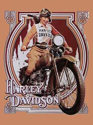 Vintage Harley Davidson Pinup Girl Reproduction Steel Street Sign Biker Decor • $19.99