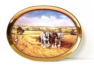 Limited Edition ‘Summer’ Collectors Plate Davenport Mint Condition • £7