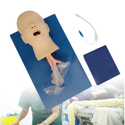 $195 • Buy Child Model Airway Management Trainer Airway Manikin Training Teaching Model PVC
