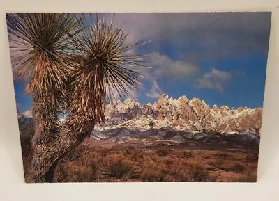 Vintage Photo Postcard Organ Mountains Las Cruces New Mexico  • $5.95