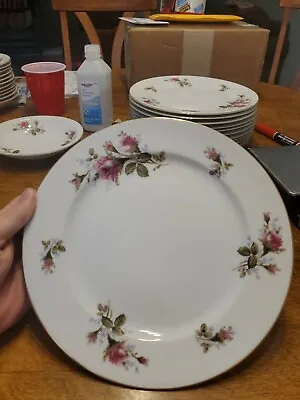 Vintage Aladdin Moss Rose Fine China Japan. 10  Dinner Plate Beautiful Gold Rim • $4