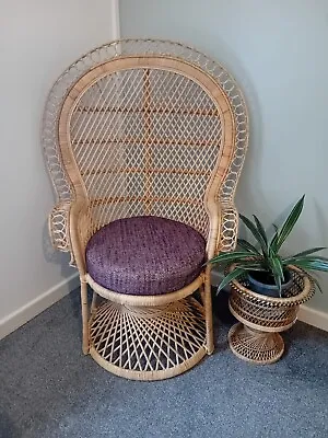 Cane Bella Handmade Peacock Chair + Heaton Wine Seat Cushion. • £249