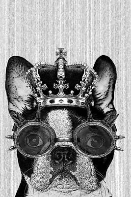 Hipster Boston Terrier Dog With Crown And Steampunk Goggles Print Poster 24x36 • $14.98