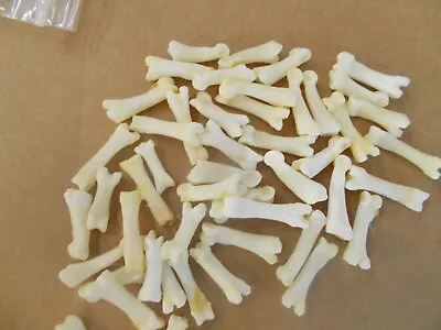 50 Real Nice Coyote Knuckle Bones  Great For Crafts • $25