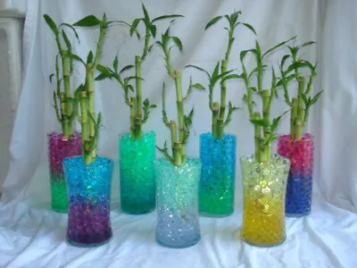 Water Beads -start Tiny And Absorb Water To Expand Centerpiece Decor Vase Filler • $5.95
