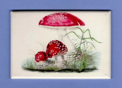 Mushrooms *2x3 Fridge Magnet* Fungus Portobella Spores Morels Truffles Forest • $8.95