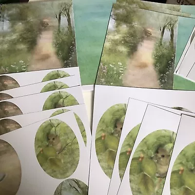 Pack Of Nature Card Making Set As Pictures • £1.99