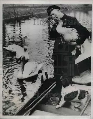 1938 Press Photo Frederick George Green Keeper Of The Swans In Regent's Park • $19.99