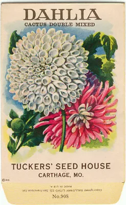 Vintage Flower Seed Packet  DAHLIA  1918  NO SEEDS  Original LITHOGRAPH • $8