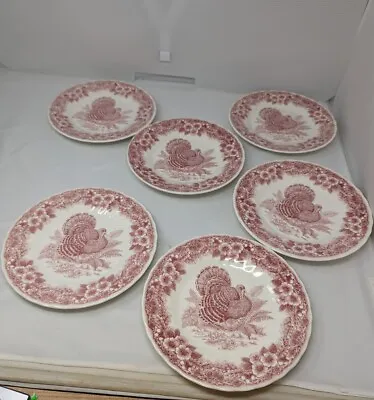 Set Of 5 Salad Plates Thanksgiving Red By Queens Myott Factory Retired Pattern • $50