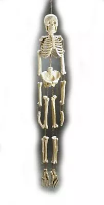 Creepy SKELETON Dangling Boney Figurine Halloween Gothic  62  Mad Scientist Lab • $36.99