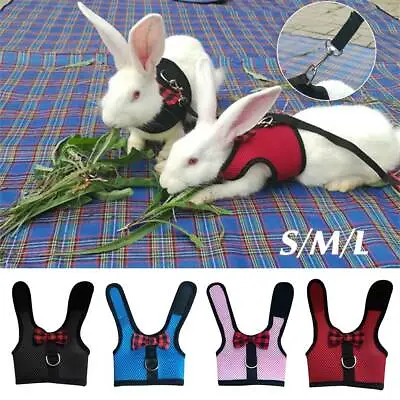 £4.19 • Buy Small Animal Harness Leads Hamster Rabbit Cat Ferrets Squirrel Rat Vest Clothes~