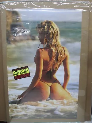 Consumer Advisory 1993 Hot Girl Man Cave Car Garage Vintage Maxwell Poster 16929 • $39.97