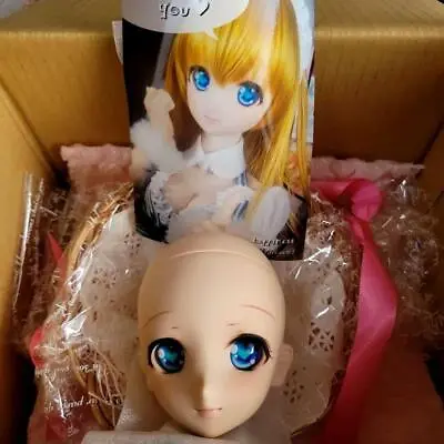 Volks Dollfie Dream DDH Custom Head Fresh Skin Doll Japan Almost Unused • $680