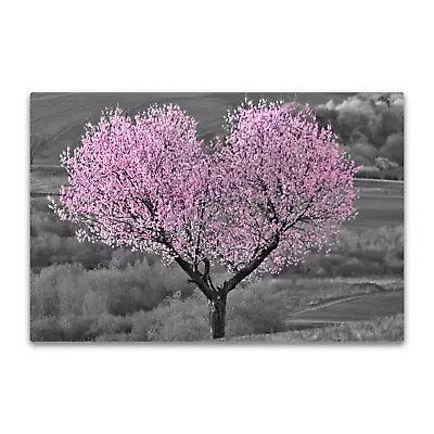 Black & White Pink Blossom Heart Canvas Wall Art Picture Print. Cherry Tree Love • £24.19