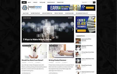 Dfy Make Money Niche Blog Wordpress Website+free Installation High Quality Seo • $13.25