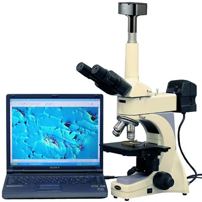 AmScope 40X-800X Infinity Plan Metallurgical Microscope + 5MP Camera • $1907.99