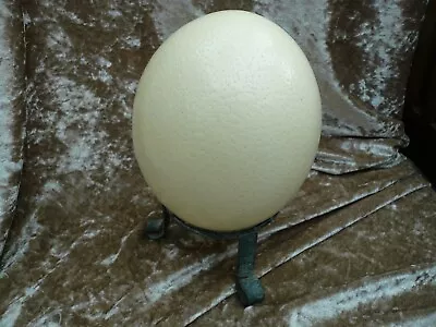 Blown Ostrich Egg On Simple Metal Stand • £9