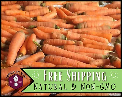 6300+ Carrot Seeds [Little Finger] Vegetable Gardening Seed Heirloom Non-GMO • $5.99