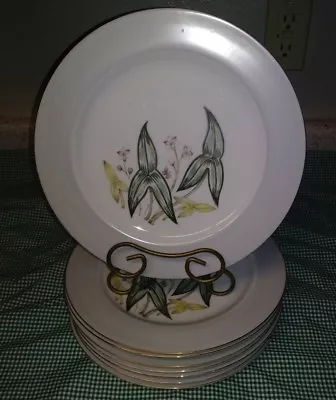 8 Sone China SON30 10  Dinner Plates Made In Occupied Japan Floral Gray Band EUC • $24.95