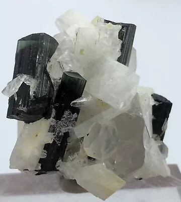 55g Green Cap Tourmaline Crystals With Mica & Albite Quartz Combine Specimen • $129.99