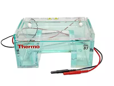 THERMO OWL B3 Easycast Mini Gel Electrophoresis Chamber W/ Leads • $249.99