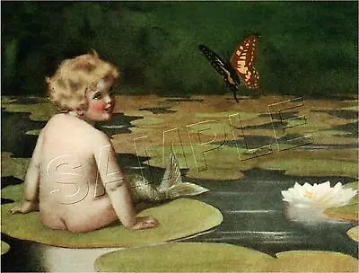 Merbaby Vintage Era Victorian Mermaid Baby Waterlily Butterfly Canvas Art Print • $29.60