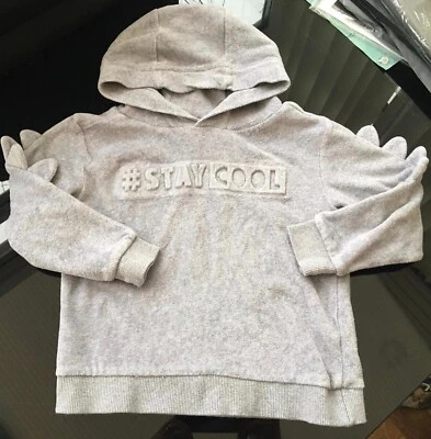 £1.50 • Buy Aged 3 - 4 Years Boys Grey Dinosaur Hoodie Jumper Sweat Top Soft Cotton Rich