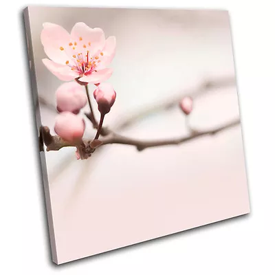 Cherry Blossom Pink Floral SINGLE CANVAS WALL ART Picture Print VA • $69.99