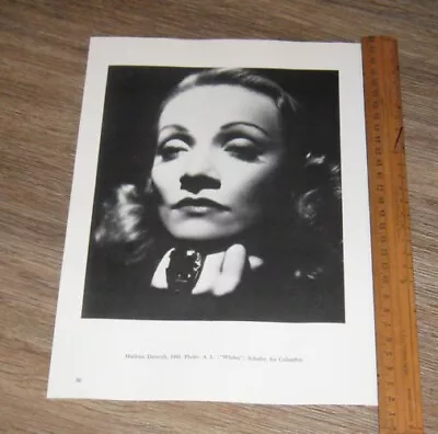 MOVIE STAR PORTRAIT Marlene Dietrich Original ONE Page PHOTO + Text #4 • $35