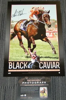 Black Caviar 25 Wins Greatest Hand Signed Luke Nolen Print Winx Diva Phar Lap • $149.95