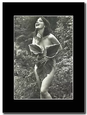 £15.99 • Buy Bjork - Back To Nature - Matted Mounted Magazine Artwork