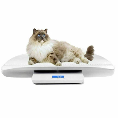 $45 • Buy Digital Electronic Scale Veterinary Animal Weight Pet Dog Cat 3 Weighing Modes