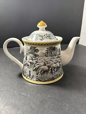 Villeroy & Boch Audun Ferme Teapot With Lid Mint Yellow & Black • $0.99